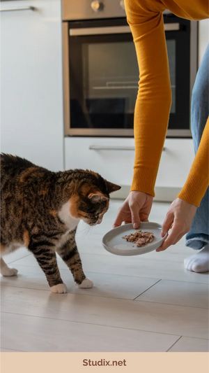 Essential Pet Feeding and Care Guide