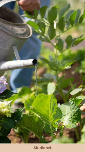 From Balcony to Backyard: Growing a Lush Garden in Any Space