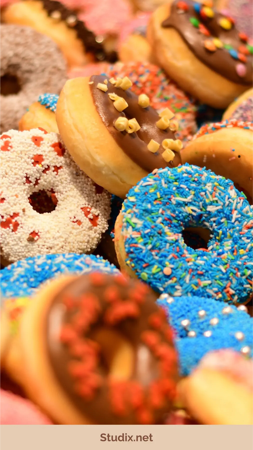 The Sweet World: A Guide to Confectionery and Sugar Craft