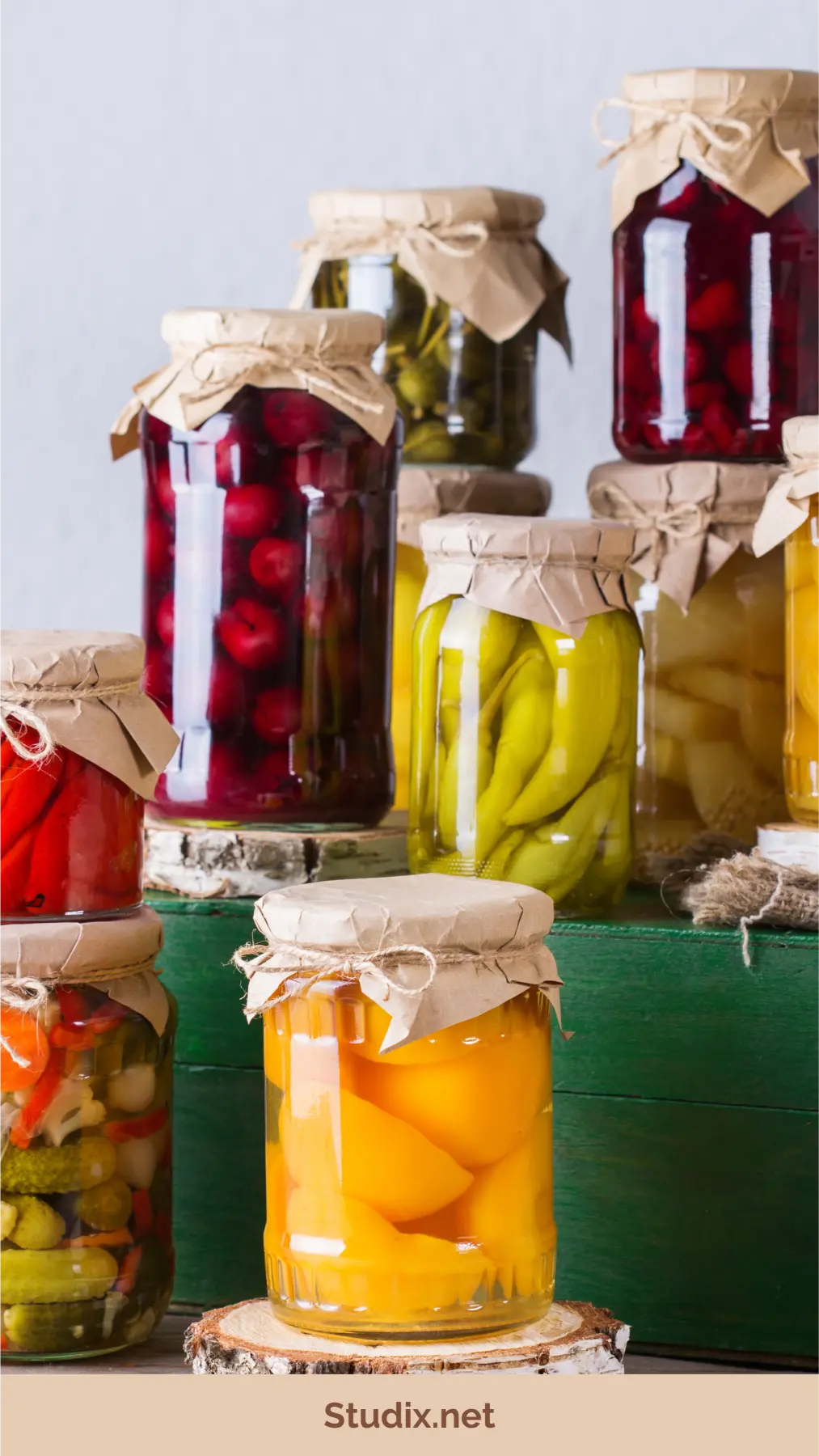 Probiotic Power: The Science and Benefits of Fermented Foods