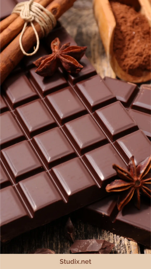 Chocolate Craftsmanship: From Bean to Bar