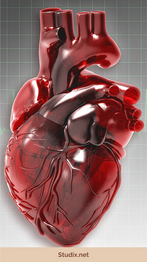 Secrets to a Healthy Life: Exploring Wellness and Longevity