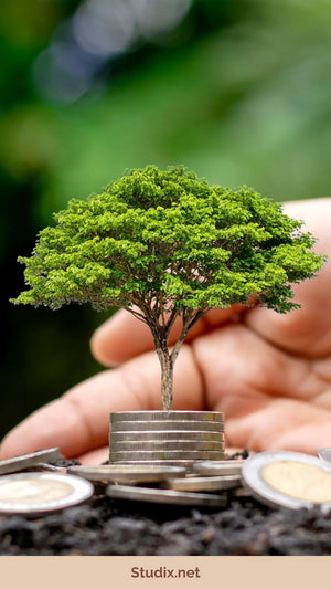 The Future of Farming: Innovations and Sustainability