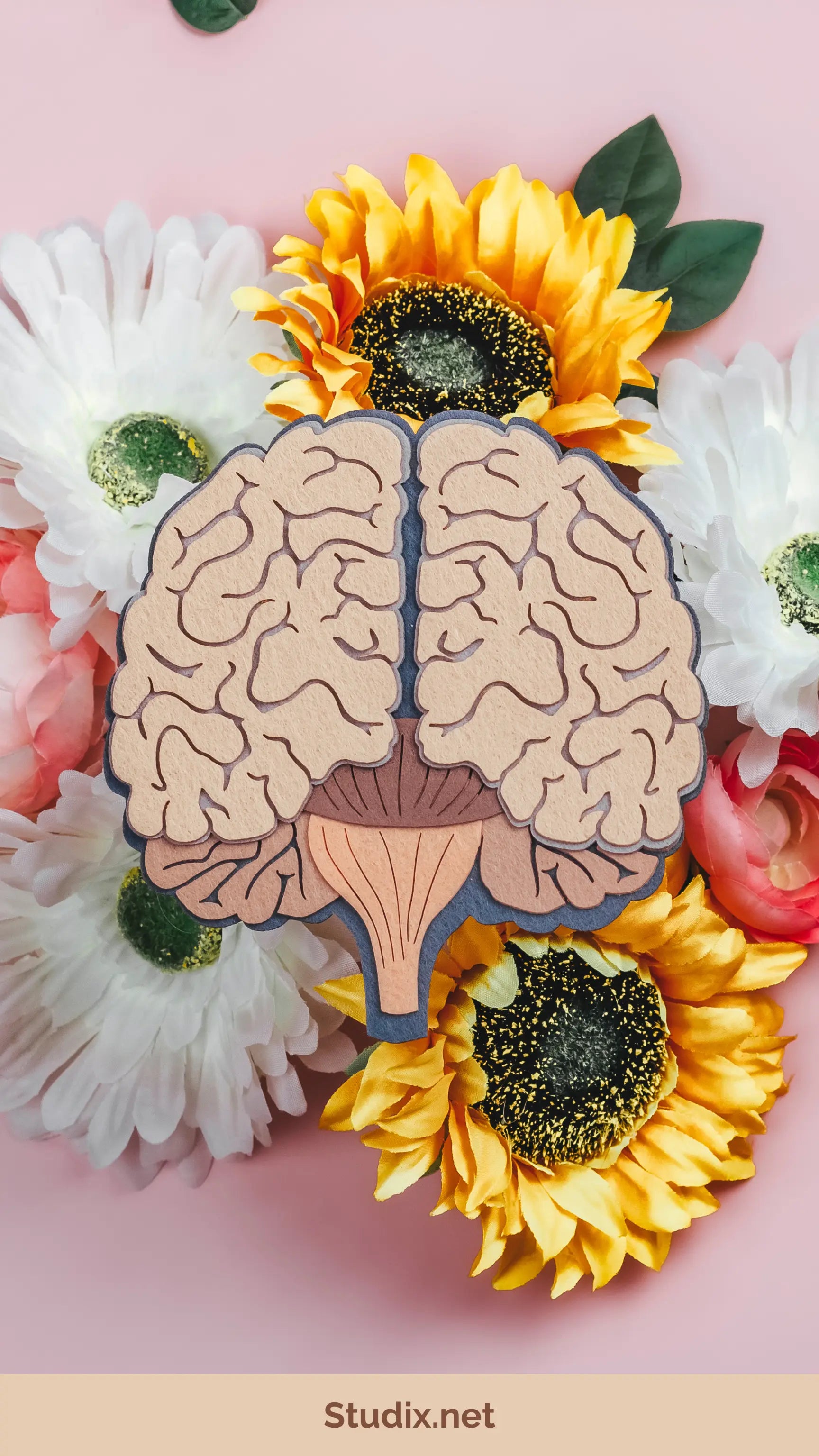 Mental Wellness in the Digital Age: Strategies for a Balanced Mind