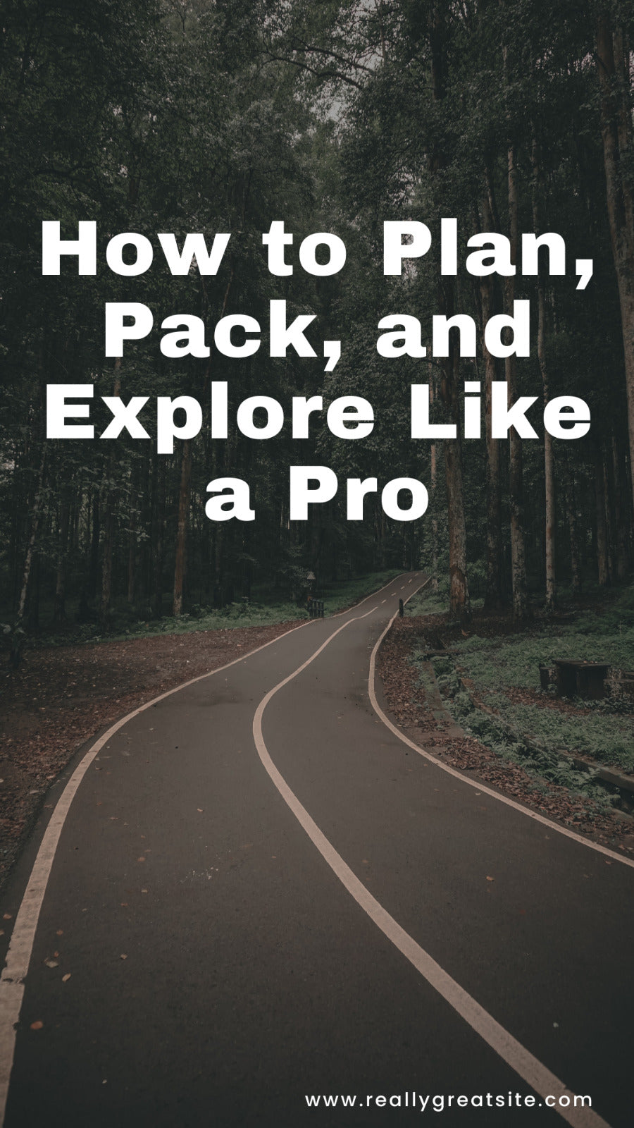 Master Your Travel: How to Plan, Pack, and Explore Like an Expert